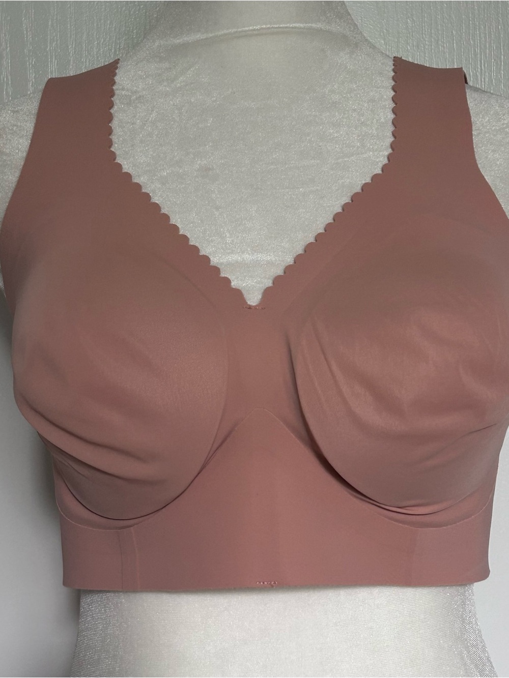 The Evelyn Bra by Evelyn & Bobbie Seamless Push Up Scalloped Edge Medium - Picture 2 of 8